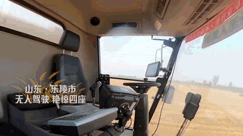 夏至1.gif